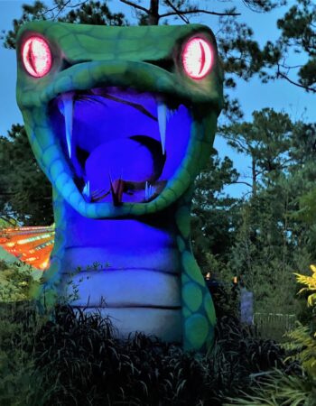 Swampy Jack’s Wongo Adventure